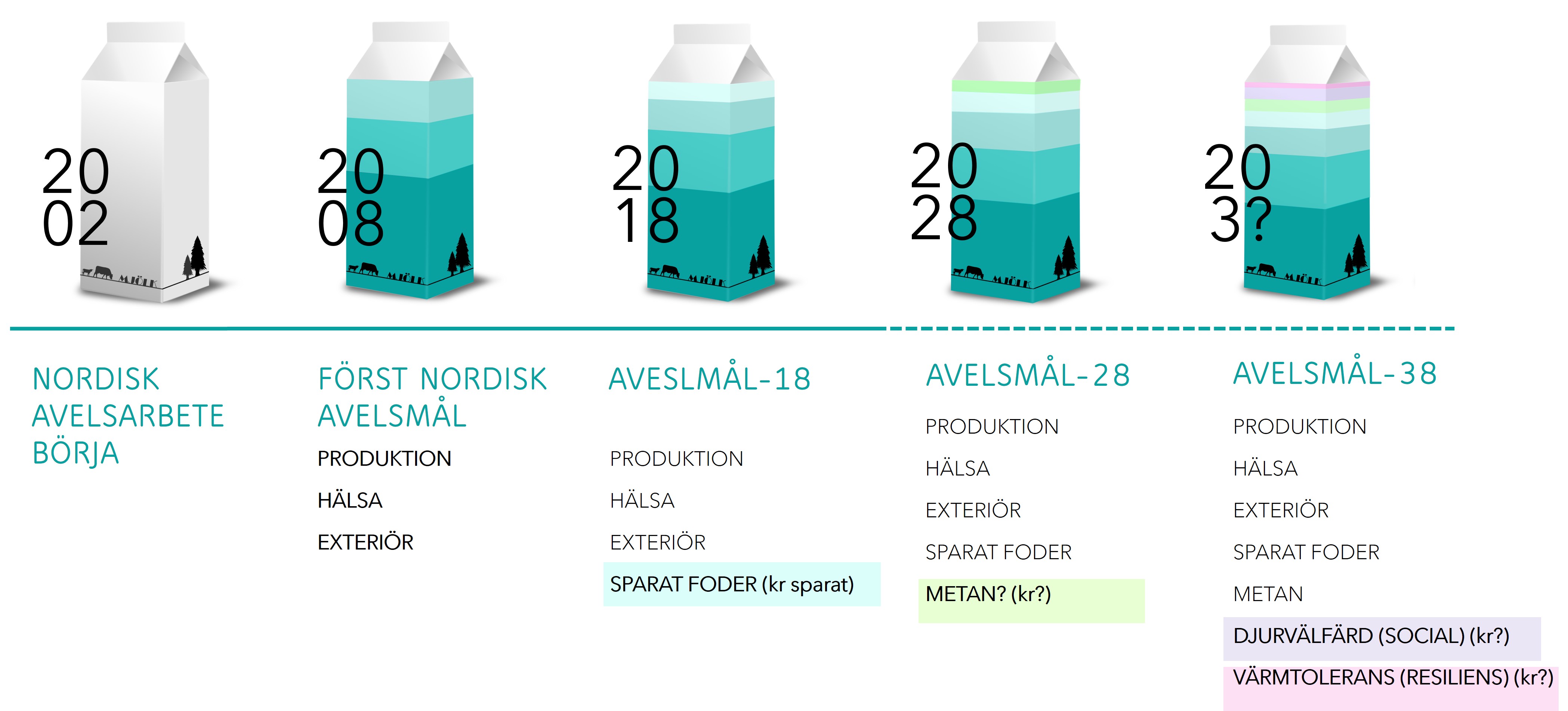 Timeline infographic