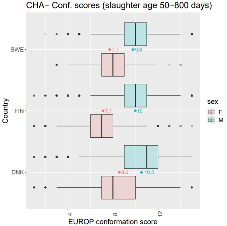 Storytelling example